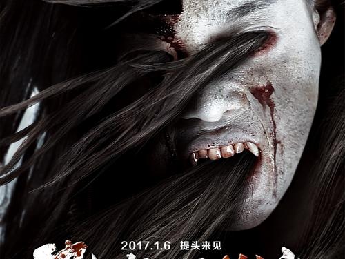 怎么找到法国身份证KYC认证资料